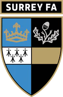 Surrey FA Badge - Iron on Yourself
